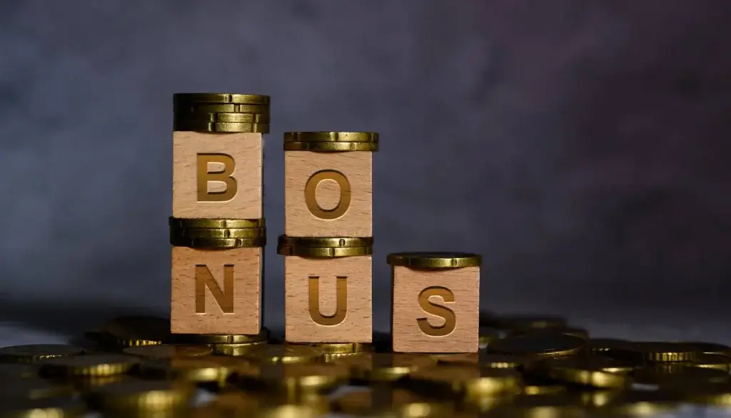 Bild von Bausteinen, auf denen Buchstaben das Wort Bonus bilden.