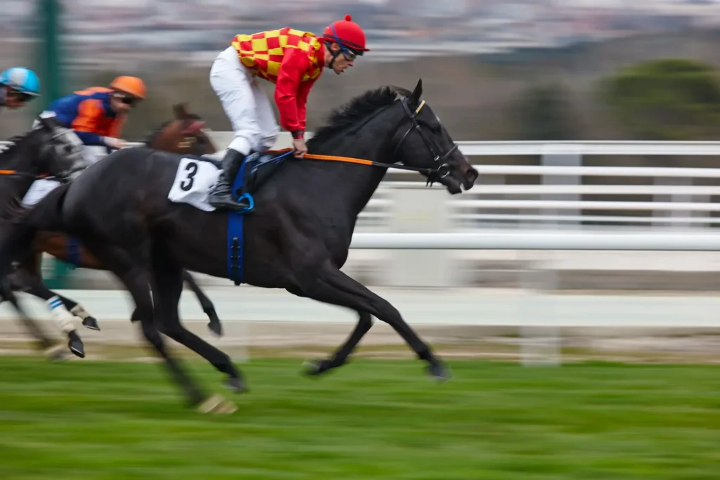 Jockeys auf Rennpferden bei einem Pferderennen