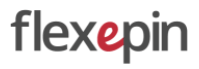 Flexepin Logo klein