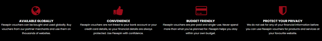 Flexepin Vorteile